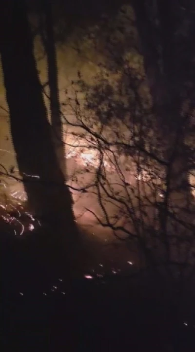 Hatay’da yıldırım düşmesiyle çıkan orman yangına müdahale devam ediyor
