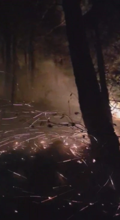 Hatay’da yıldırımın düştüğü ormanlık alandaki yangın 16’ncı saatte kontrol altına alındı
