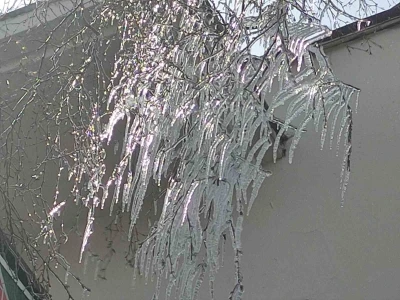 Hava sıcaklığı eksi 10&rsquo;a d&uuml;şt&uuml;, ağa&ccedil; dalları dondu

