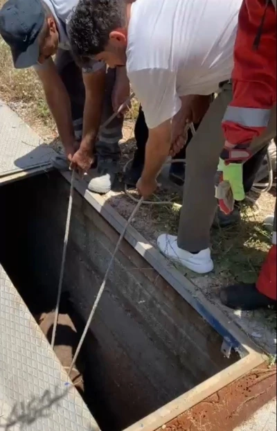 Havalandırma boşluğuna d&uuml;şen eşek kurtarıldı
