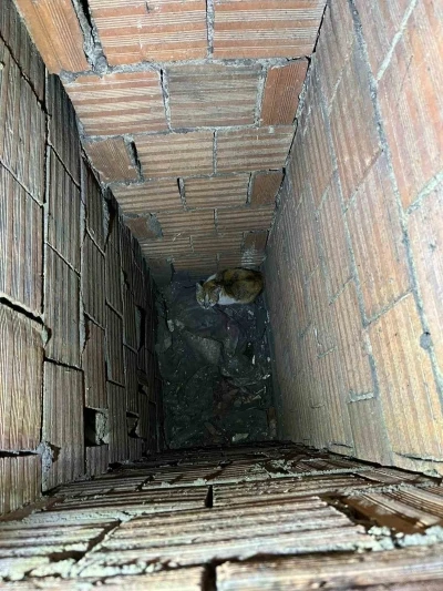 Havalandırma boşluğuna d&uuml;şen kedi kurtarıldı
