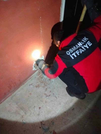 Havalandırma boşluğuna düşen kediyi itfaiye kurtardı
