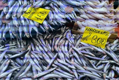 Havaların soğumasıyla balık tezgahlarında alışverişler hızlandı
