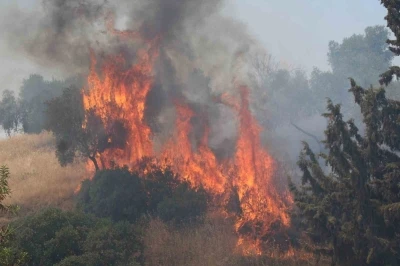 Havaya ateş açan şahıslar yangına sebep oldu
