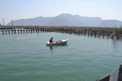 Havuzlar açılmadı, tonlarca balık telef oldu iddiası
