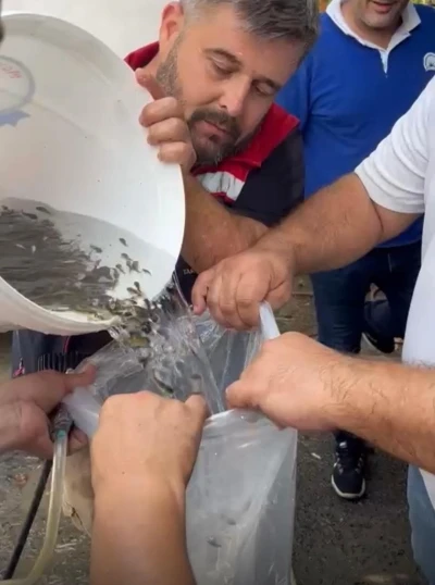 Hayrabolu’da göle 200 bin yavru sazan bırakıldı
