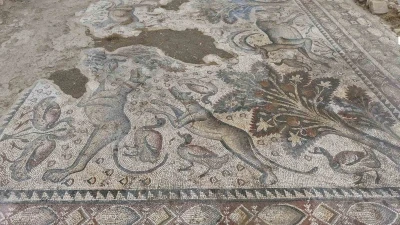 Hayvan figürleriyle dolu bin 700 yıllık Roma mozaiği, burjuva yaşamının izlerini taşıyor
