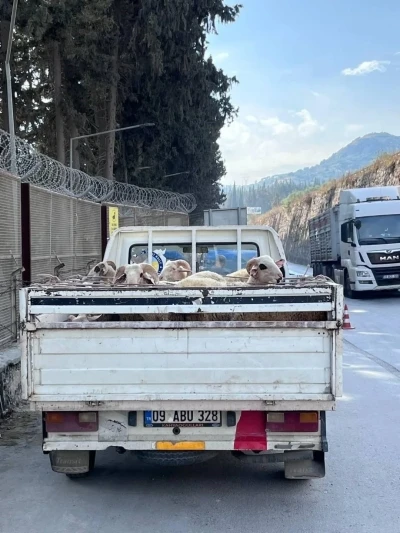 Hayvan hastalıkları ile mücadelede yol kontrolleri devam ediyor
