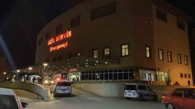 ‘Hayvan otlatma’ kavgası kanlı bitti: Komşusunu öldürüp intihar etti
