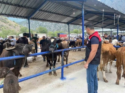 Hayvan pazarı şap hastalığı nedeniyle kapatıldı
