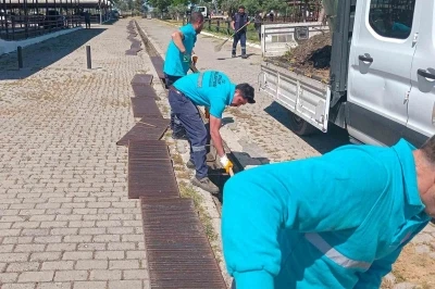 Hayvan pazarında bayram mesaisi başladı
