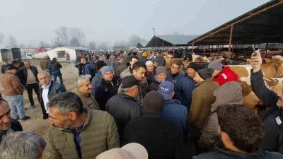 Hayvan pazarında hararetli pazarlık kamerada
