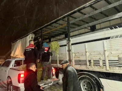 Hayvanlar a&ccedil; kalmasın diye imdada yetiştiler
