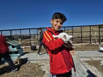 Hayvanları Koruma Günü’nde Evcil Köy’de patili dostlarla buluştular
