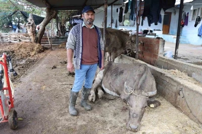 Hayvanları sele kapılan Aktaş: &quot;Adam boyu sel geldi&quot;

