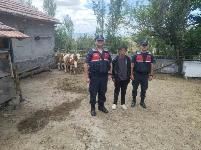Hayvanlarını kaybeden &ccedil;ift&ccedil;inin yardımına Jandarma ekipleri koştu
