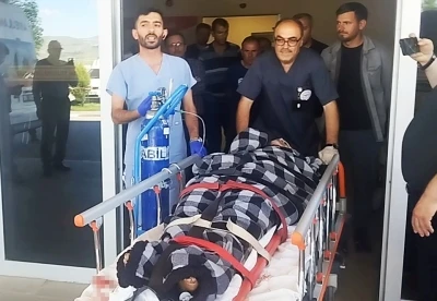 Hayvanlarını otlatırken ayı saldırısına uğradı, Kangallar imdadına yetişti
