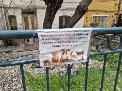 Hayvanseverlerin ilgin&ccedil; yazısı: "Kediler himayemiz altındadır"
