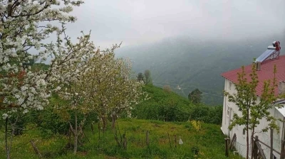 Hendek&rsquo;in y&uuml;ksek kesimlerinde bahar ve sis bir arada

