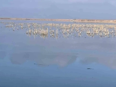 Her damlanın Eber G&ouml;l&uuml;&rsquo;ne ulaşması i&ccedil;in topyekun m&uuml;cadele

