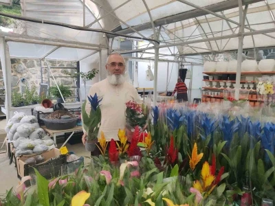 Her şey bir kaktüs ile başladı
