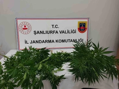 Hilvan&rsquo;da uyuşturucu ele ge&ccedil;irildi
