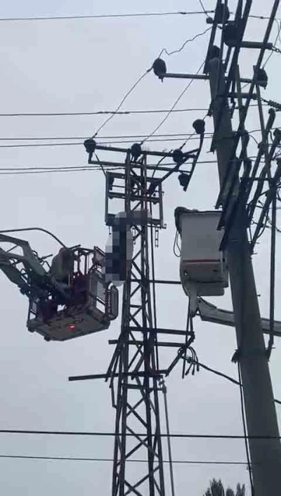 Hırsızlık i&ccedil;in &ccedil;ıktığı elektrik direği sonu oldu
