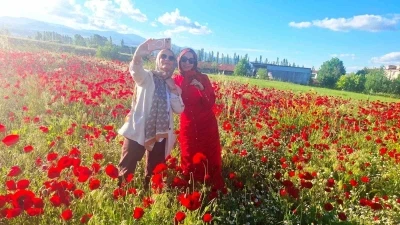 Hisarcık&rsquo;ta gelinciklerin papatyalarla buluşması
