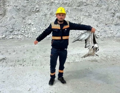 Hisarcık&rsquo;ta maden sahasında bitkin halde bulunan balık kartalı tedavi altına alındı
