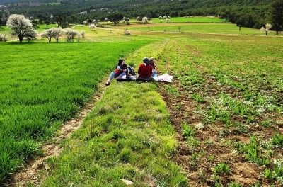 Hisarcık&rsquo;ta tarımsal saha &ccedil;alışmaları yapıldı
