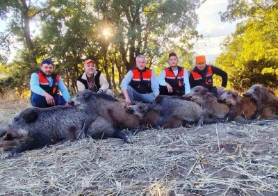 Hisarcıklı avcılar 6 saatte 7 yaban domuzu vurdu
