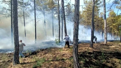 Honaz’da orman yangını
