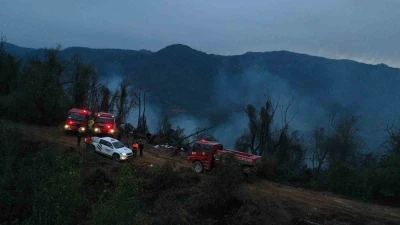 Hopa’daki orman yangını söndürüldü, soğutma çalışmaları sürüyor
