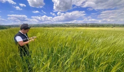 Hububat ekili alanlarda kontroller s&uuml;r&uuml;yor
