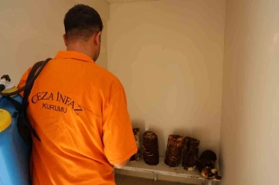 Hükümlüler, kilogramı 15 bin TL’ye kadar çıkan ’Kırmızı Reishi’ mantarı yetiştirdi
