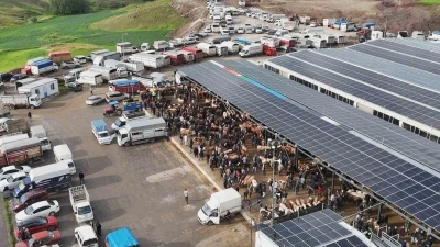 İ&ccedil; Anadolu&rsquo;nun en b&uuml;y&uuml;k kurban pazarında yoğunluk
