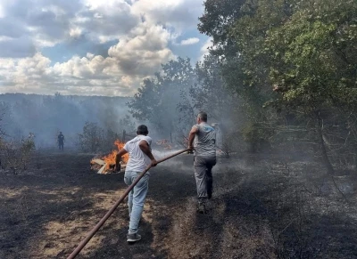 İğneada’da çıkan orman yangını söndürüldü
