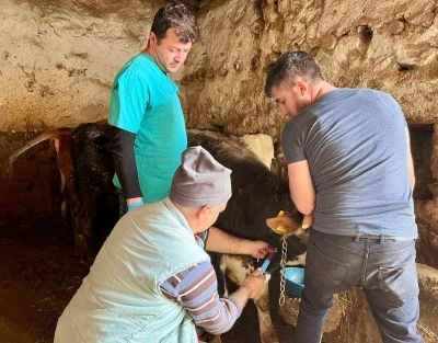 İhsaniye&rsquo;de şap hastalığına karşı &ccedil;alışma yapıldı

