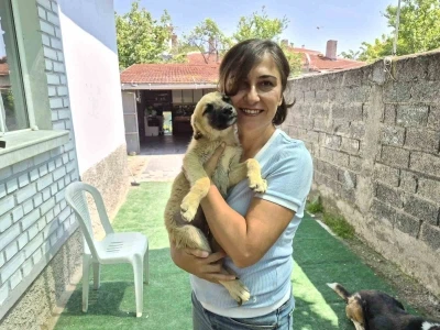 İki g&ouml;n&uuml;ll&uuml;n&uuml;n şefkat eli y&uuml;zlerce sokak hayvanına ulaşıyor
