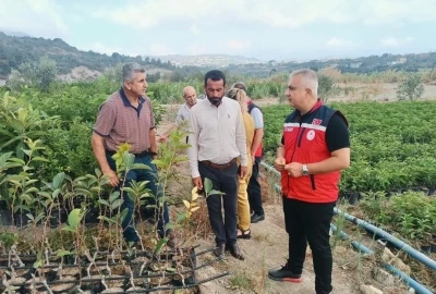 İl Tarım Müdürü Türkmen, fidan üretim sahalarını inceledi
