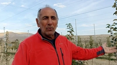 İlçede yetişen elma hayatına yön verdi, harçlıkla başladı, 100 dönümlük araziye 5 bin fidan dikti
