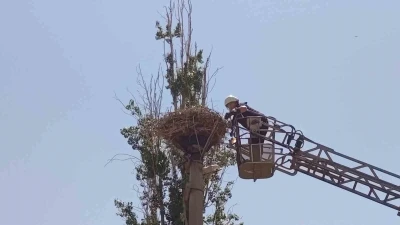 İpe dolanan leyleğin yardımına itfaiye yetişti
