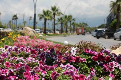 İskenderun sahili renkli &ccedil;i&ccedil;eklerle s&uuml;slendi.
