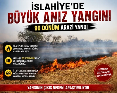İslahiye&rsquo;de B&uuml;y&uuml;k Anız Yangını: 90 D&ouml;n&uuml;m Arazi K&uuml;l Oldu