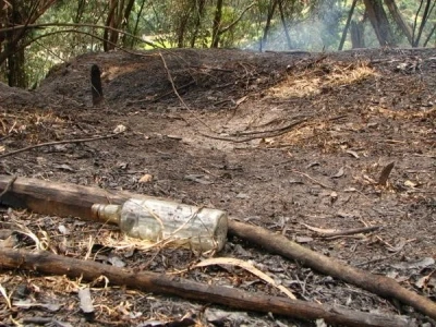 İspanya 14 farklı noktada orman yangını: 7 ölü
