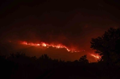 İspanya’daki orman yangınında 1 gönüllü itfaiyeci hayatını kaybetti
