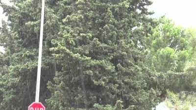 İstanbul’da beklenen yağmur başladı
