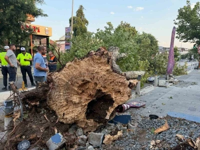 İstanbul&rsquo;da kısa s&uuml;reli etkili olan fırtına hasara yol a&ccedil;tı
