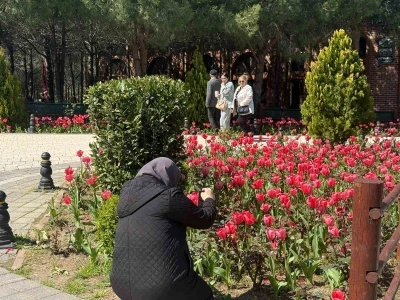 İstanbul&rsquo;da lale zamanı başladı, Pendik Korusu&rsquo;nda renk c&uuml;mb&uuml;ş&uuml; yaşandı
