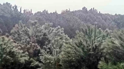 İstanbul&rsquo;da y&uuml;ksek kesimlerde kar yağışı başladı
